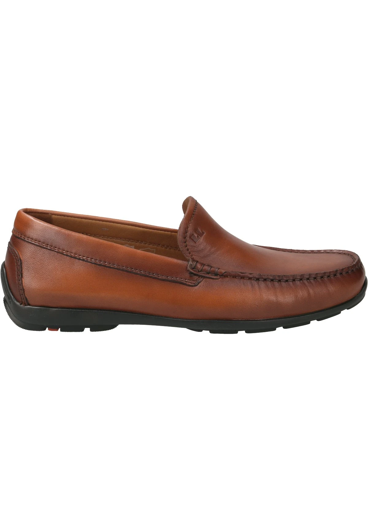 Lloyd Emilio- Instappers - Braun 1 Lloyd Emilio- Instappers - Braun