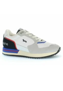 HARMONT&BLAINE Basse - Sneakers Laag - Grigio/Binaco